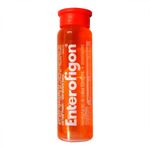 Enterofigon Pêssego Com 1 Flaconete