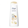 Shampoo Dove Ritual De Reparacao 200ml