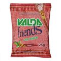 Pastilha Sem Acucar Valda Friends Canela 25g