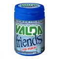 Pastilha Sem Acucar Valda Friends 50g