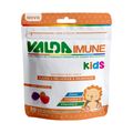 Suplemento Vitaminico E Mineral Valda Imune Kids Mix De Frutas 30 Gomas