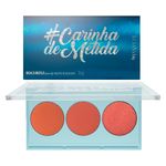 Paleta-De-Blush-Payot-Boca-Rosa--carinhademetida-75g