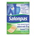 Salonpas Pain Relief Patch Com 5 Adesivos