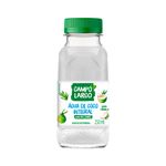 Agua-De-Coco-Campo-Largo-250ml