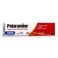 Polaramine Creme 10mg/g Antialergico Bisnaga 30g