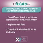 Ofolato---Ferro-Ct-Bl-30-Comprimidos