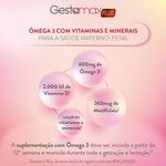 Gestamax-Plus-Ct-Bl-60-Capsulas