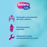 Vitamina-D-Addera-Cal-2.000ui-Fr-90-Comprimidos-Revestidos