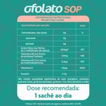 Ofolato-Sop-Com-30x4gr-Saches-Tangerina