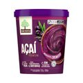 Acai Mae Terra 700ml Premium