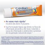 Cataflam-Pro-Emulgel-30g