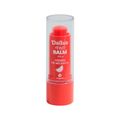 Tint Balm Dailus 4gr Fps8 Frozen De Melancia