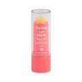 Lip Balm Dailus 4gr Fps8 Coco