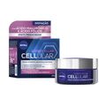 Creme Facial Nivea Antissinais Expert Filler Cellular  Noite 49g