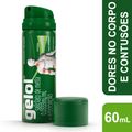 Gelol Aerossol 60ml