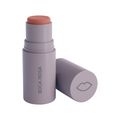 Blush Boca Rosa Stick Cor 5gr Vix