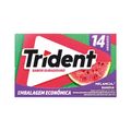 Trident Com 14 Melancia