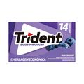 Trident Com 14 Blueberry