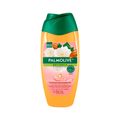 Sabonete Liquido Corporal Nutritivo Palmolive Naturals Camelia E Oleo De  Amendoas Doce 250ml