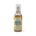 Spray Para Garganta Extrato De Propolis Sabor Menta E Malva Apis Vida  30ml