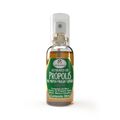 Spray Para Garganta Extrato De Propolis Sabor Gengibre Apis Vida 30ml