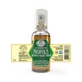 Spray Para Garganta Extrato De Propolis Sabor Gengibre Apis Vida 30ml