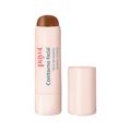 Contorno Payot Stick 7,5gr 2-medio