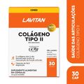 Lavitan Colageno Tipo Ii Com 30 Capsulas 40mg