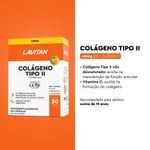 741571-Colageno-Tipo-II-Lavitan-30-Capsulas---Beneficios