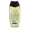 Sabonete Liquido Palmolive Luminous Oils Abacate E Iris 250ml