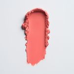 Blush Multifucional Boca Rosa Stick Cor Jeri 6gr 02