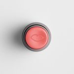 Blush Multifucional Boca Rosa Stick Cor Jeri 6gr 04