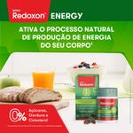 SUPLEMENTO ALIMENTAR REDOXON ENERGY COM 60 CAPSULAS BAYER